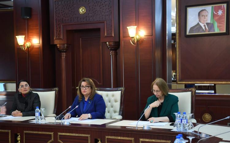 Milli Məclisin Ailə, qadın və uşaq məsələləri komitəsinin növbəti iclası keçirilib 
