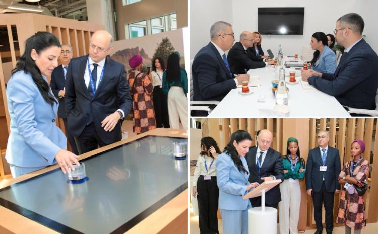 Azerbaijan-Albania energy cooperation was discussed in the UAE 