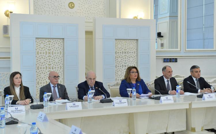 Milli Məclisdə "Ailə sağlamlığı və dəyərləri qanunvericilik aspektində" mövzusunda ictimai dinləmə keçirilib 