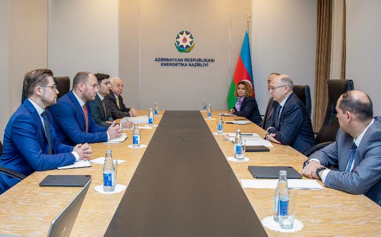 Cooperation in the field of green energy was discussed with Vestas 