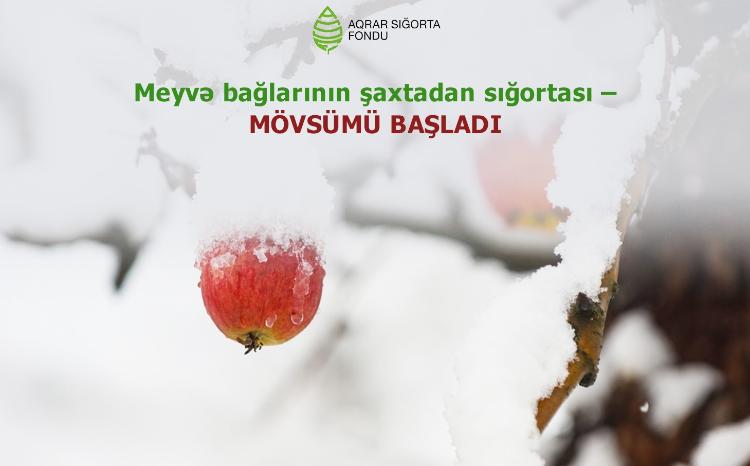 Aqrar Sığorta Fondu fermerləri meyvə bağlarını şaxtavurmadan sığortalamağa çağırır 