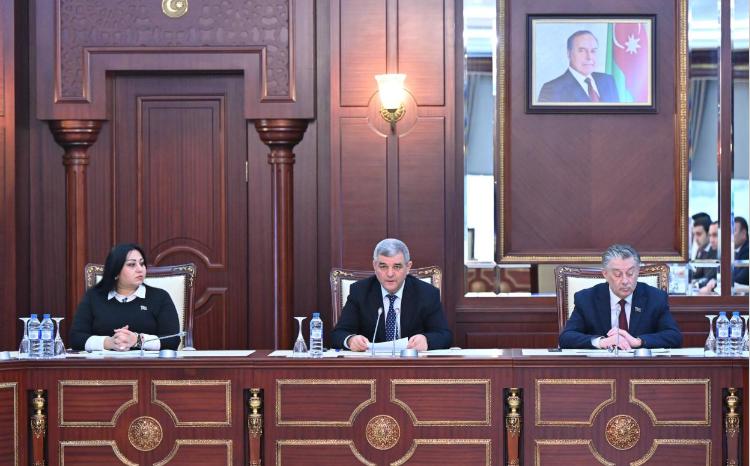 Milli Məclisin Mədəniyyət komitəsinin 2024-cü ilin yaz sessiyasında ilk iclası keçirilib 