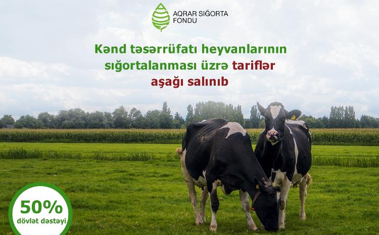 Kənd təsərrüfatı heyvanlarının sığortalanması üzrə tariflər endirilib 