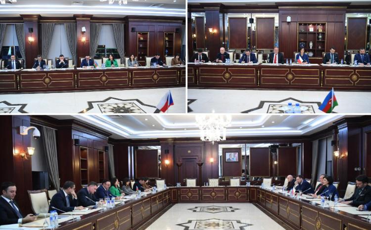 Milli Məclisdə Çexiya Parlamenti Deputatlar Palatasının nümayəndə heyəti ilə görüş olub 