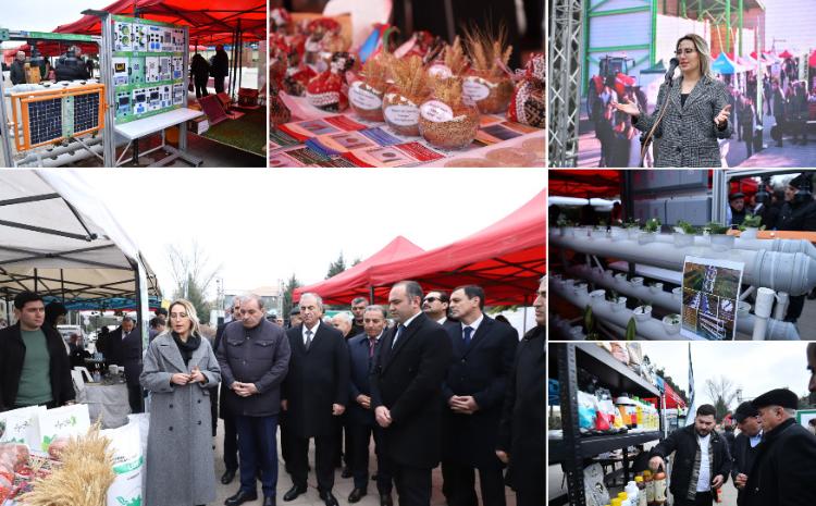 Salyan rayonunda Aqrar Biznes Festivalı keçirilib 