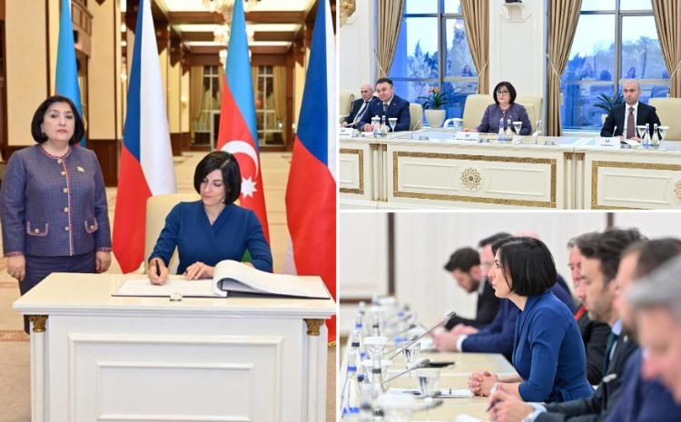 Сагиба Гафарова приняла председателя Палаты депутатов парламента Чешской Республики 