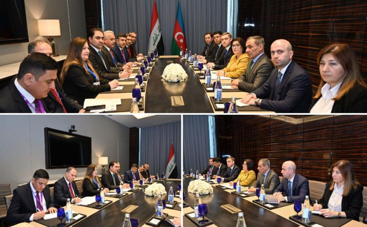 Sahiba Gafarova Meets with Chairman of Iraqi Council of Representatives 