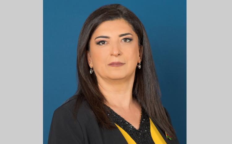 " Azərbaycan heç bir təşkilatın, ölkənin diktəsi ilə hərəkət etmir, əsl müstəqil dövlətdir" 