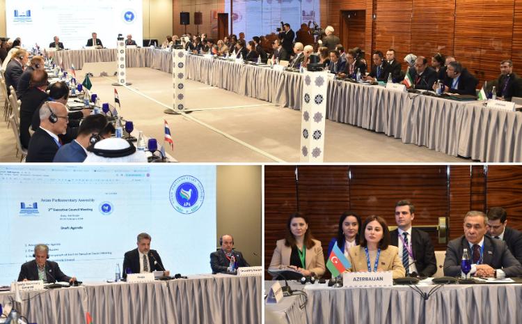 Asiya Parlament Assambleyasının İcraedici Şurasının iclasında 