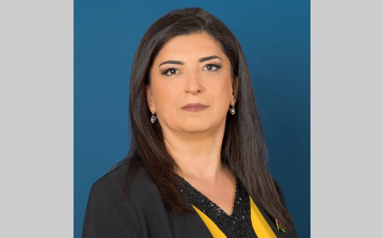 "Azərbaycanla əməkdaşlıq etməyə böyük maraq göstərirlər" 