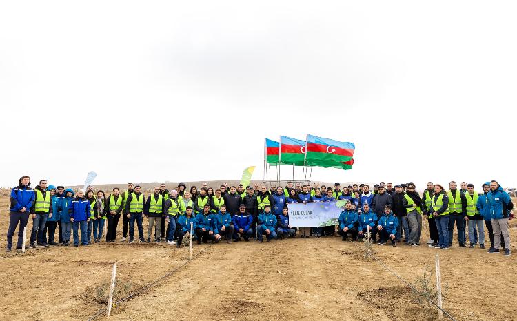 "Yaşıl dünya naminə həmrəylik ili" çərçivəsində ağacəkmə aksiyası keçirilib 