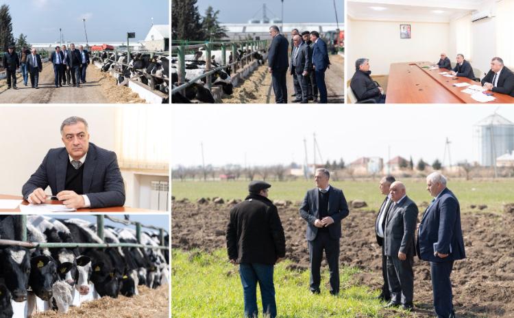 Kənd təsərrüfatı nazirinin müavini Elçin Zeynalov Ağcabədidə vətəndaşları qəbul edib, təsərrüfatlara baş çəkib 