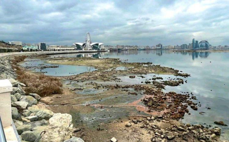 Milyonlarla insan təsirlənəcək: tədbir görülməsə, Xəzərin böyük bir hissəsi yox olacaq - VİDEO