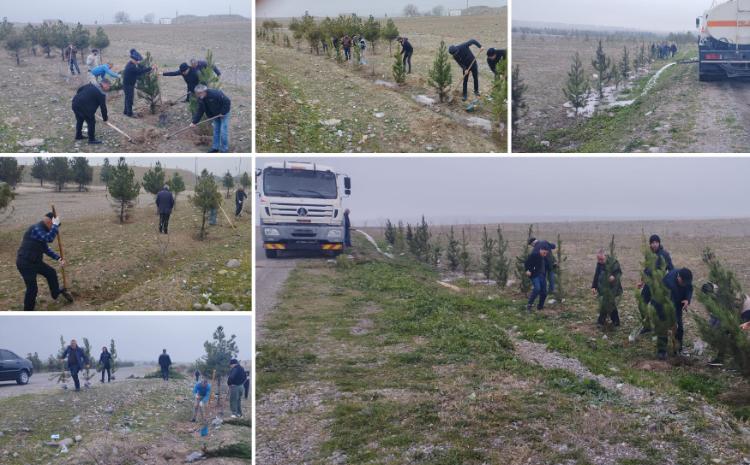 Tərtərdə "Yaşıl dünya naminə həmrəylik ili" çərçivəsində növbəti ağacəkmə aksiyası keçirilib 