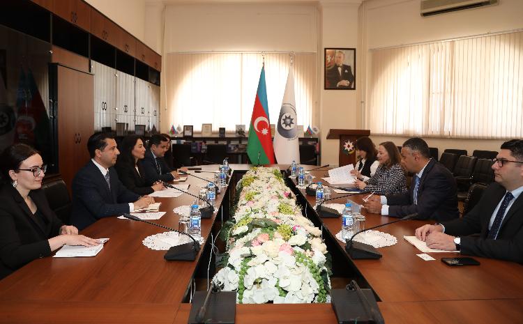 Ombudsman BMT-nin İnkişaf Proqramının ölkəmizdəki rezident nümayəndəsi ilə görüşüb 