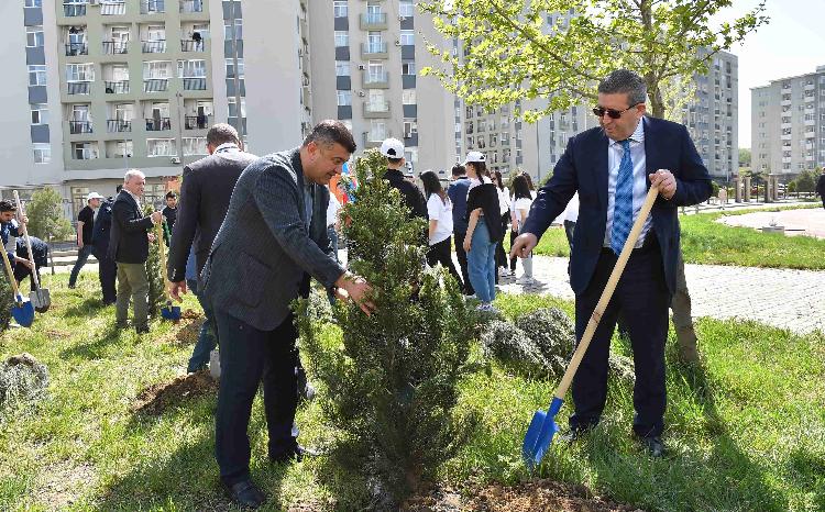 "Yaşıl dünya naminə həmrəylik ili" çərçivəsində ağacəkmə aksiyası keçirilib 