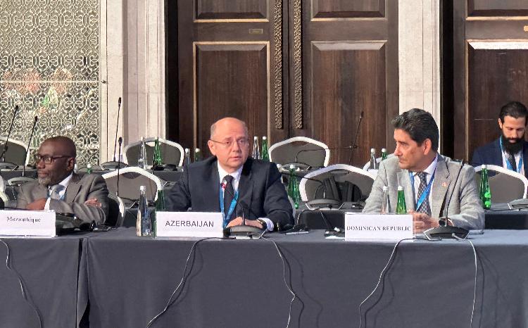 Energy Minister Parviz Shahbazov: "Renewable energy potential in Azerbaijan may quadruple by 2030" 