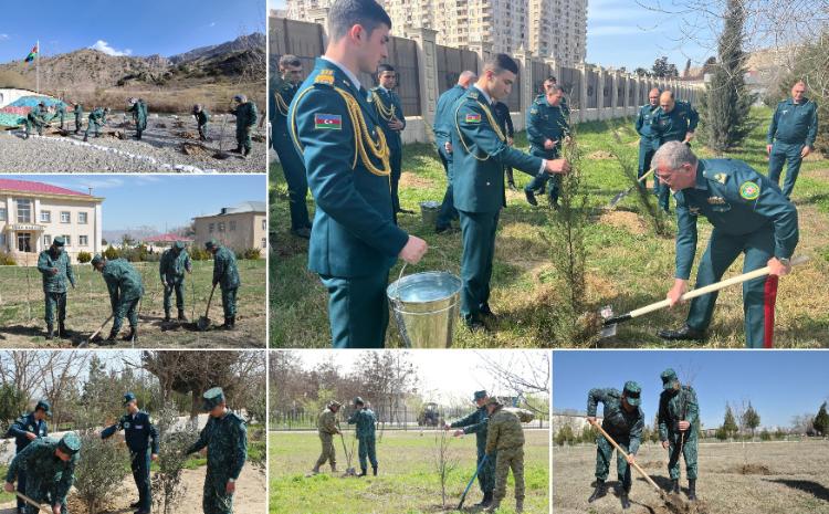 "Yaşıl dünya naminə həmrəylik ili" çərçivəsində ağacəkmə aksiyaları keçirilib 