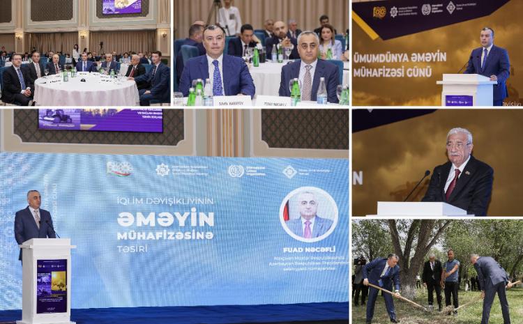 Naxçıvanda "İqlim dəyişikliyinin əməyin mühafizəsinə təsiri" mövzusunda konfrans keçirilib 