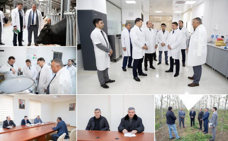 Aqrar Kredit və İnkişaf Agentliyinin sədri Seymur Mövlayev Göygöldə vətəndaşları qəbul edib, təsərrüfatlara baş çəkib 