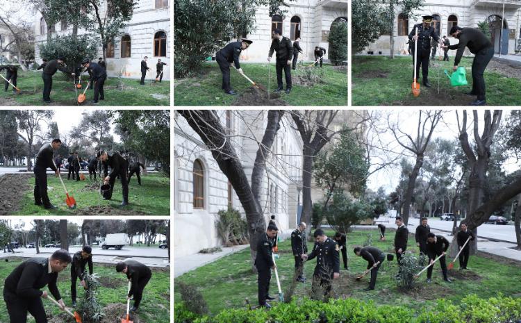 Dövlət Xidməti növbəti dəfə ağacəkmə aksiyası keçirdi 