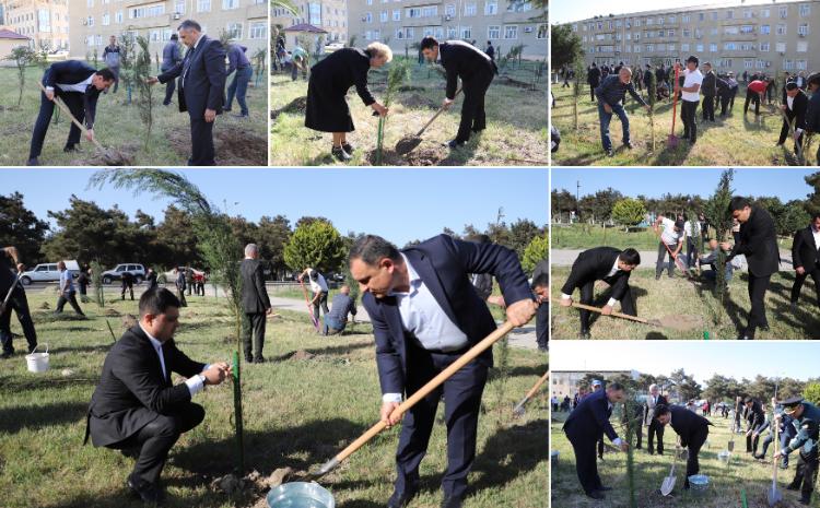 Neftçalada "Yaşıl dünya naminə həmrəylik ili" çərçivəsində ağacəkmə aksiyası keçirilib 