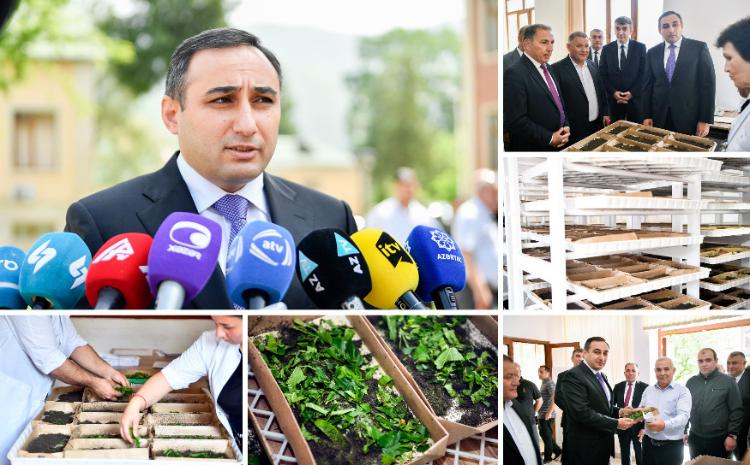 Bu il 40 rayonda yaş barama istehsalı həyata keçiriləcək 