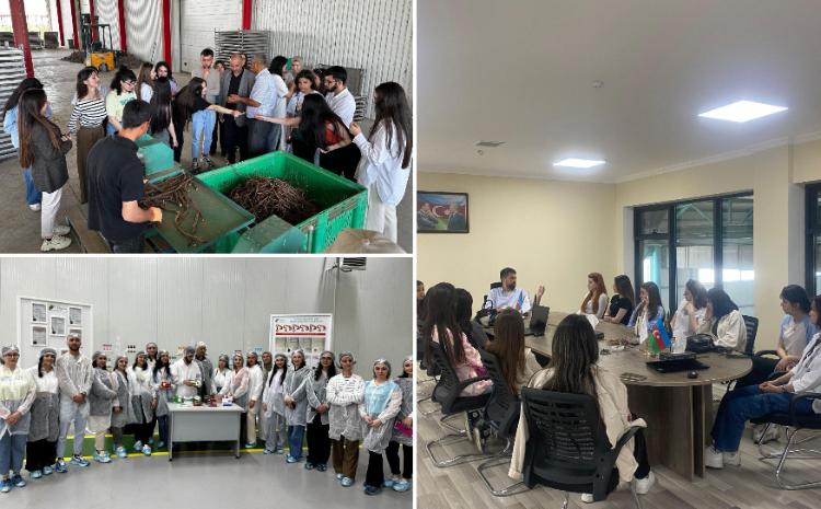 Студенты БГУ совершенствуют производственные навыки 