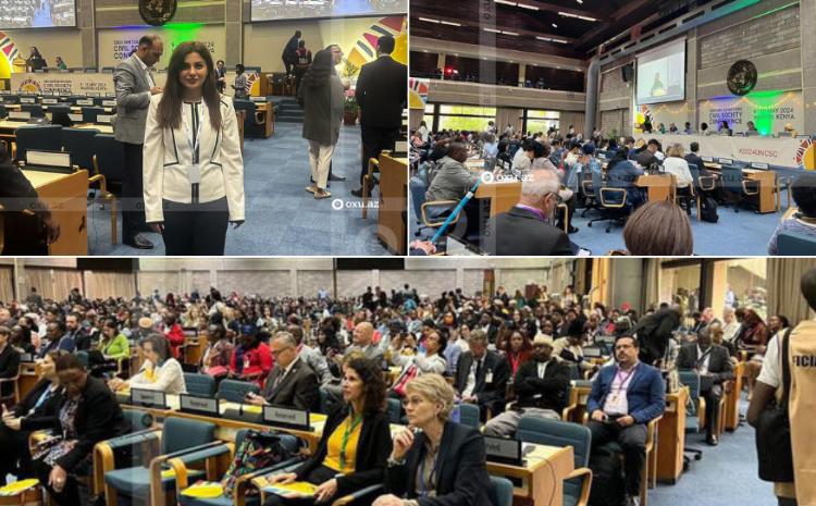 COP29-un rəsmisi BMT-nin plenar sessiyasında çıxış edib - VİDEO