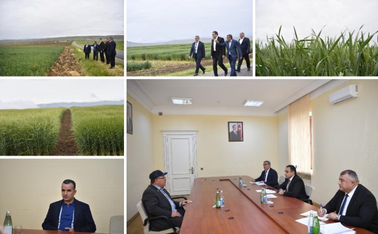 Nazir müavini Sarvan Cəfərov Qobustanda vətəndaşları qəbul edib, təsərrüfatlara baş çəkib 
