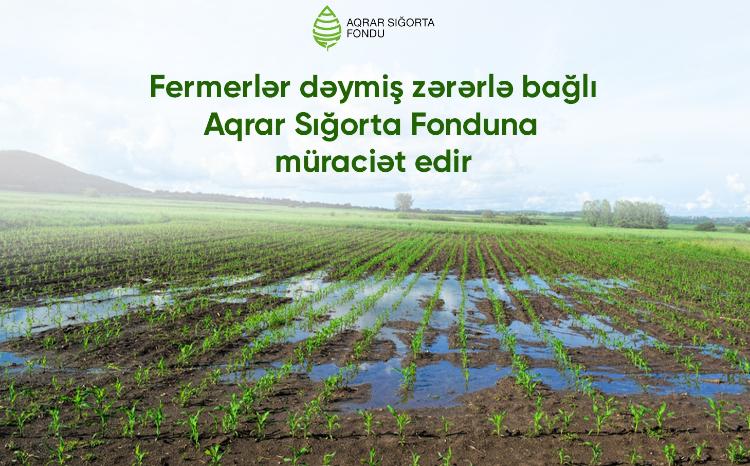 Hava şəraitinin dəyişməsi ilə əlaqədar təsərrüfatlara zərər dəyməsi barədə 20 müraciət daxil olub 