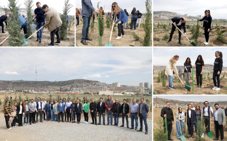 “Yaşıl dünya naminə həmrəylik ili” çərçivəsində SOCAR-ın təşkilatçılığı ilə ağacəkmə aksiyası keçirilib 