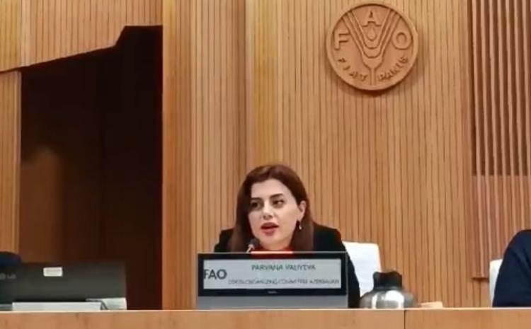 Pərvanə Vəliyeva İtaliyada keçirilən G7 ölkələrinin vətəndaş cəmiyyəti sammitində çıxış edib 
