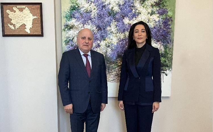 Ombudsman Səbinə Əliyeva BMT-nin Komitə üzvü Aslan Abaşidze ilə görüşüb 