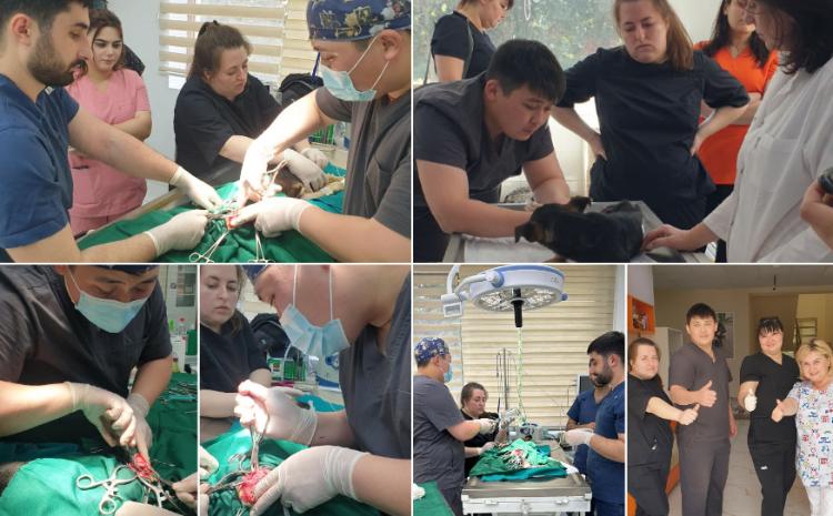 Завершился первый рабочий день российских волонтеров «Миссии Добро» в Азербайджанской Республике 