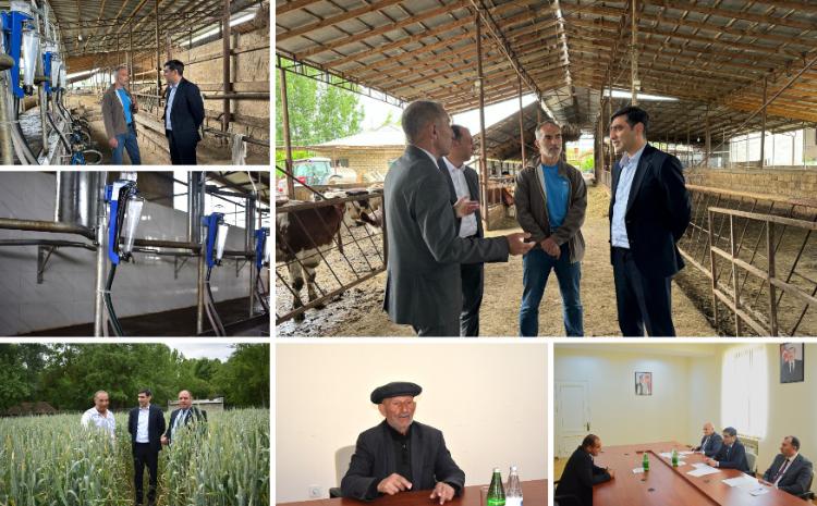 Sərdar Hacıyev Beyləqanda vətəndaşları qəbul edib, təsərrüfatlara baş çəkib 