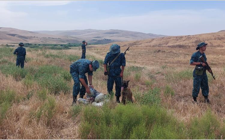 Narkotik vasitənin ölkə ərazisinə keçirilməsinin qarşısı alınıb 