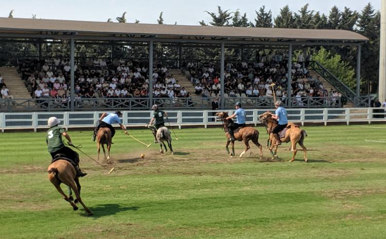 Bakıda çövkən üzrə mundialın ilk günü: Azərbaycan millisi uğurlu start aldı