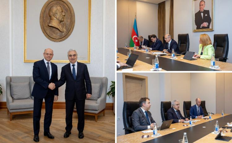 Energy Minister met with Executive Director of International Energy Agency 