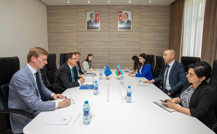 CEO of COP29 met with EU Ambassador to Azerbaijan 
