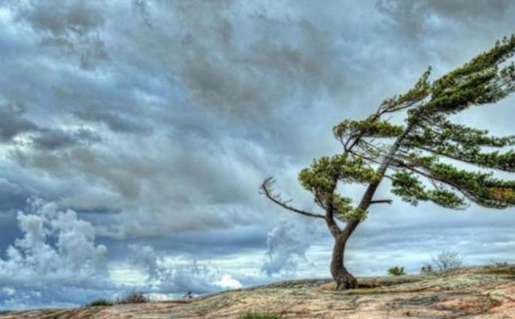 Küləkli hava şəraiti ilə bağlı sarı  xəbərdarlıq 