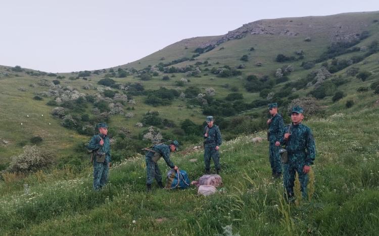 Narkotik vasitənin ölkə ərazisinə keçirilməsinin qarşısı alınıb 