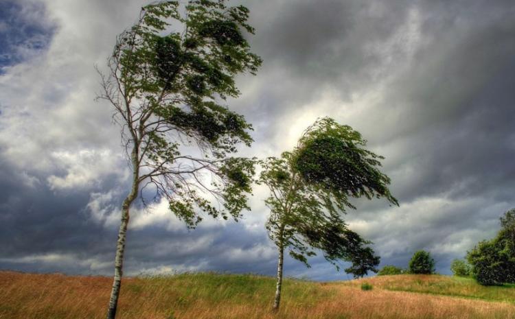 Küləkli hava şəraiti ilə bağlı sarı  xəbərdarlıq edilib 