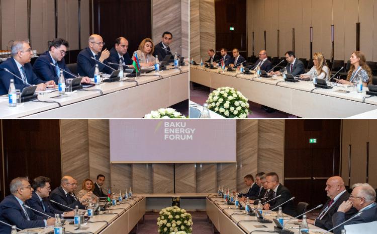 Development of energy partnership with Hungary was discussed 