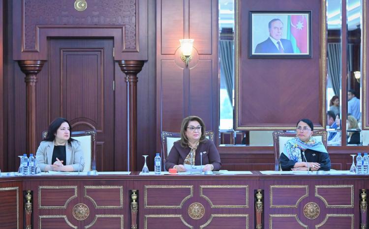 Milli Məclisin Ailə, qadın və uşaq məsələləri komitəsinin növbədənkənar sessiyada ilk iclası keçirilib 