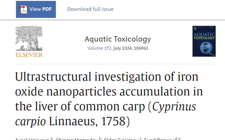 В БГУ изучают влияние наночастиц металлов на живые организмы 