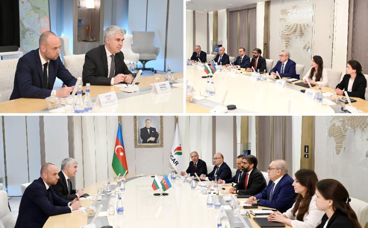 SOCAR-ın prezidenti Bolqarıstanın energetika naziri ilə görüşüb 