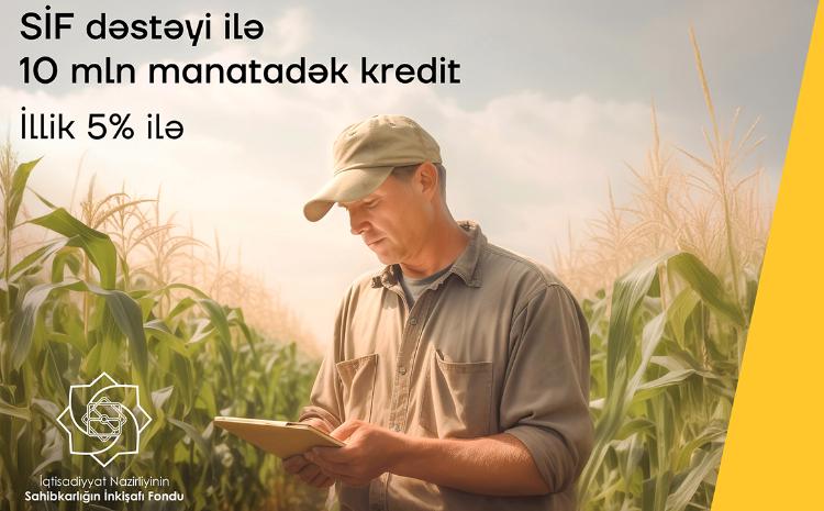 Развивайте свой бизнес с помощью кредита под 5% годовых от Yelo Bank 