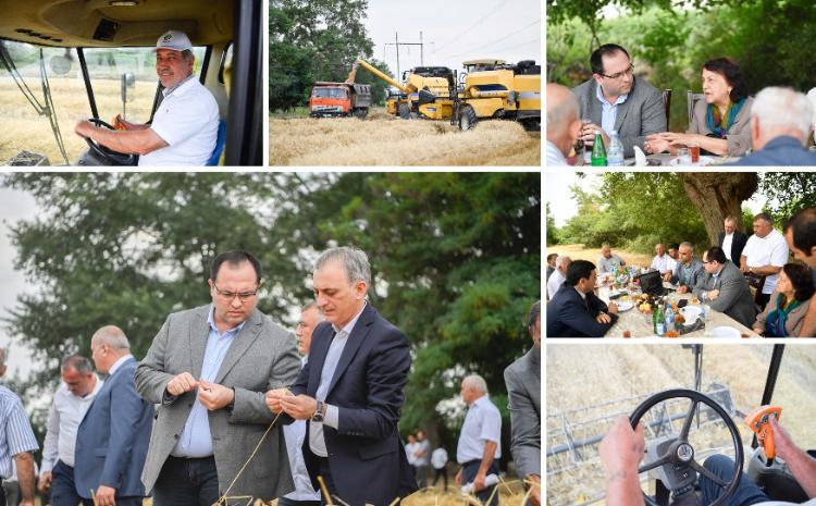 Nazir Məcnun Məmmədov Xaçmazda taxıl biçini prosesini izləyib, fermerlərlə görüşüb 