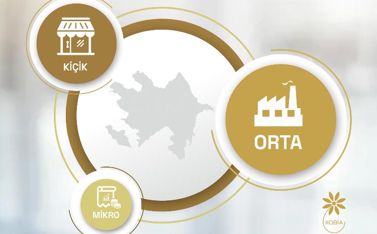 Bu gün dünyada Mikro, Kiçik və Orta Müəssisələr Günüdür 